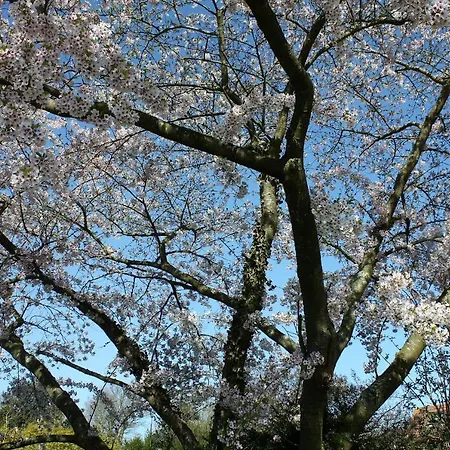 Petite Maison Дом отдыха